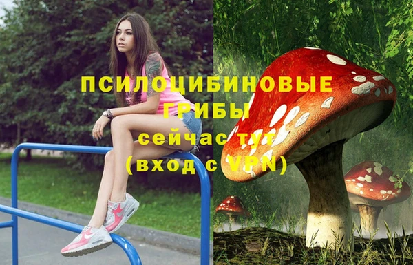 прущий лед Богородск