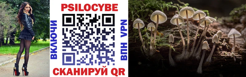 Купить закладки  Павловск  Галлюциногенные грибы мухоморы 
