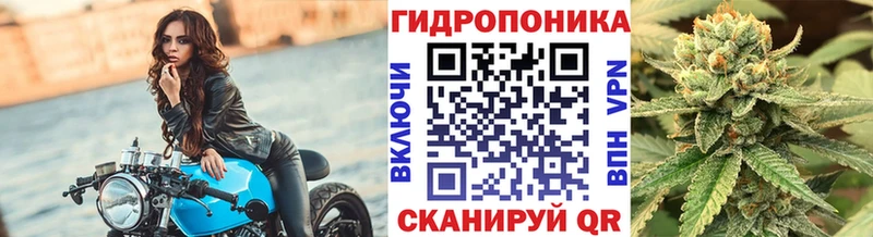 Бошки марихуана White Widow  Купить где  Павловск 